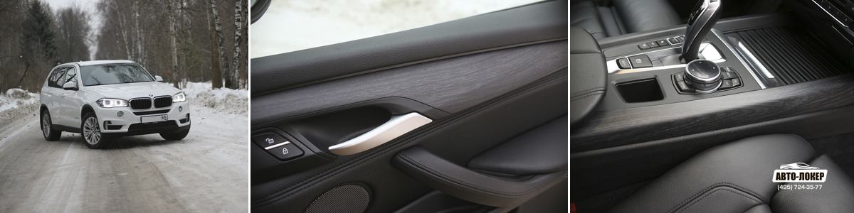 BMW X5 (F15): черное дерево в салон