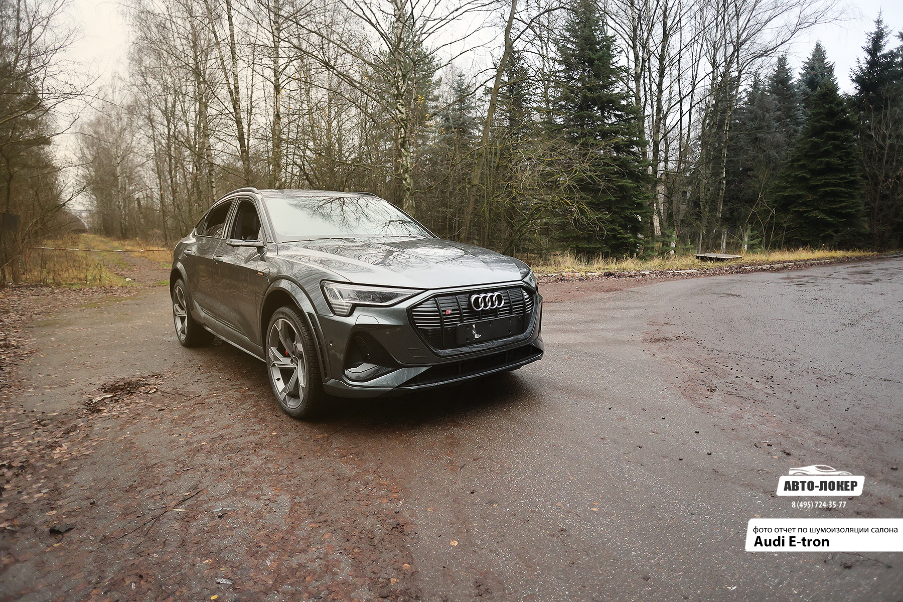 Перетяжка салона Audi E-tron в натуральную кожу